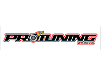 logo_protuning